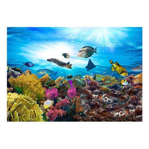Fototapet autoadeziv Coral reef