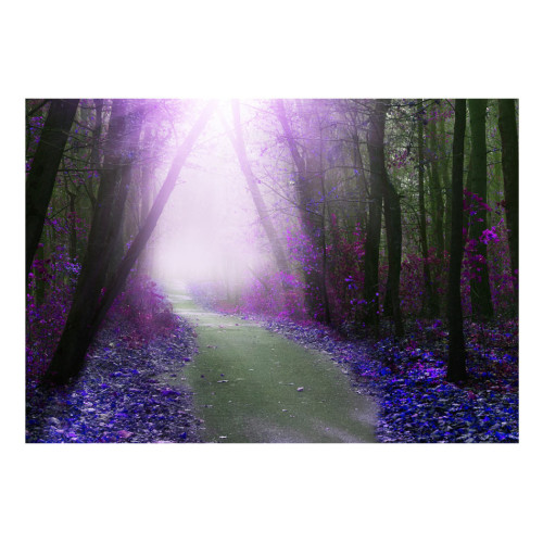 Fototapet autoadeziv Purple path