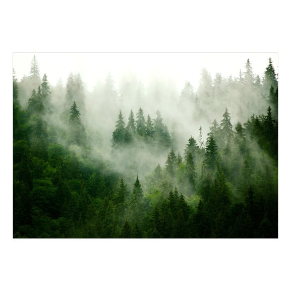 Fototapet autoadeziv Mountain Forest (Green)