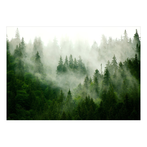 Fototapet autoadeziv Mountain Forest (Green)