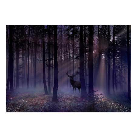 Fototapet autoadeziv Mystical Forest Second Variant-01