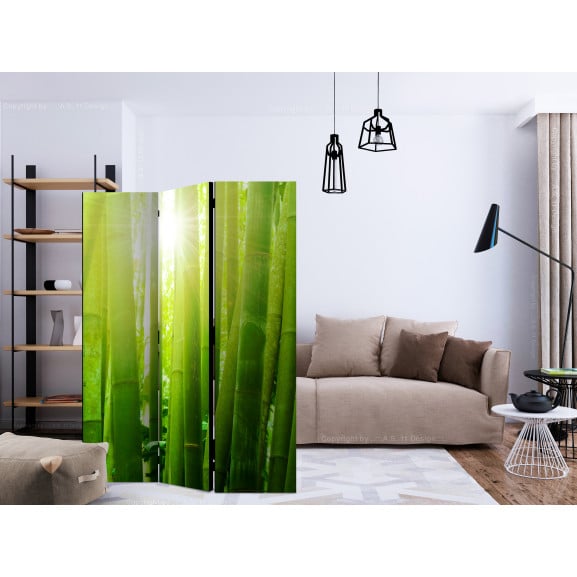 Paravan Sun and bamboo [Room Dividers]