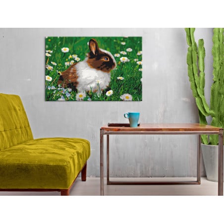 Pictatul pentru recreere Rabbit in the Meadow 60 x 40 cm-01