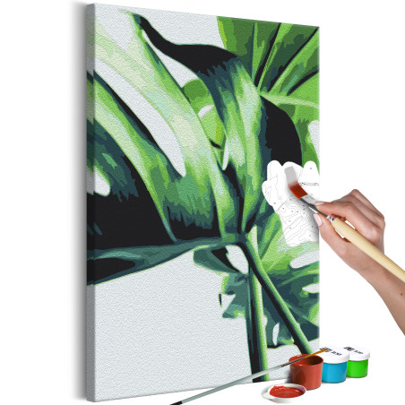 Pictatul pentru recreere Monstera Adansonii 40 x 60 cm-01