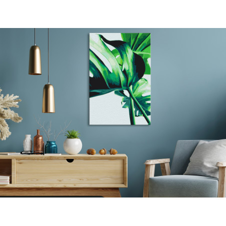 Pictatul pentru recreere Monstera Adansonii 40 x 60 cm-01