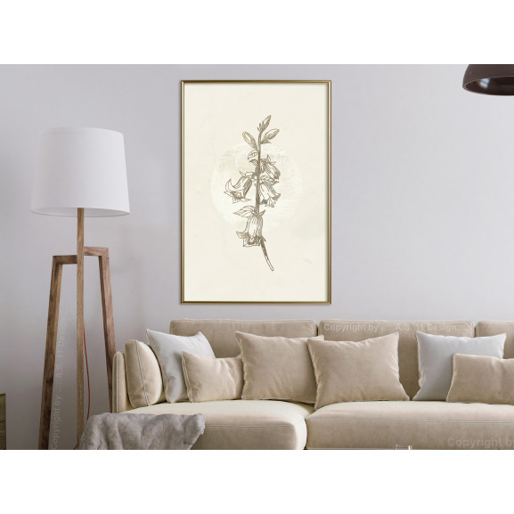 Poster Beige Campanula