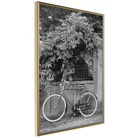 Poster Bicycle with White Tires