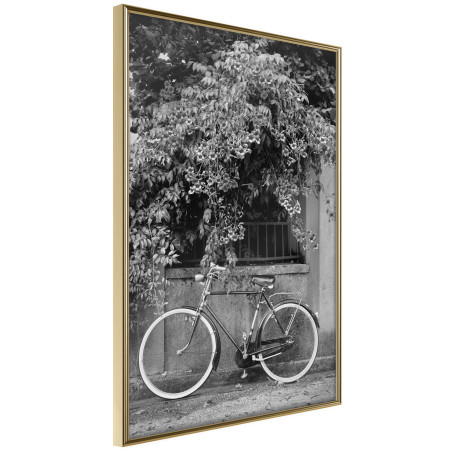 Poster Bicycle with White Tires-01