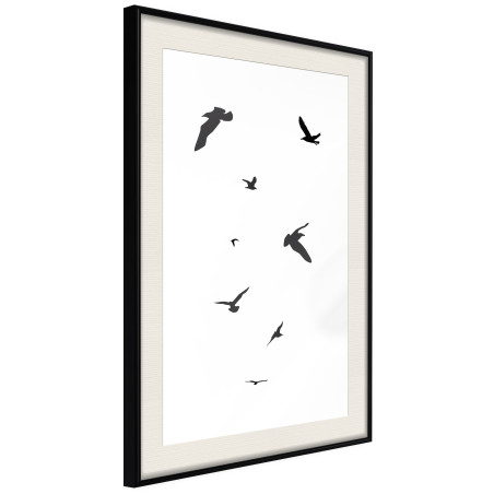 Poster Birds-01