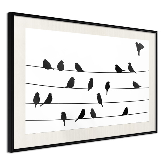 Poster Birds Council Meeting