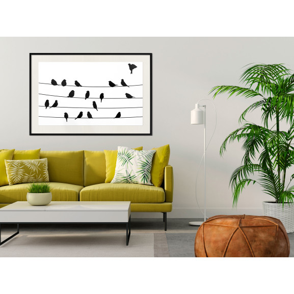 Poster Birds Council Meeting