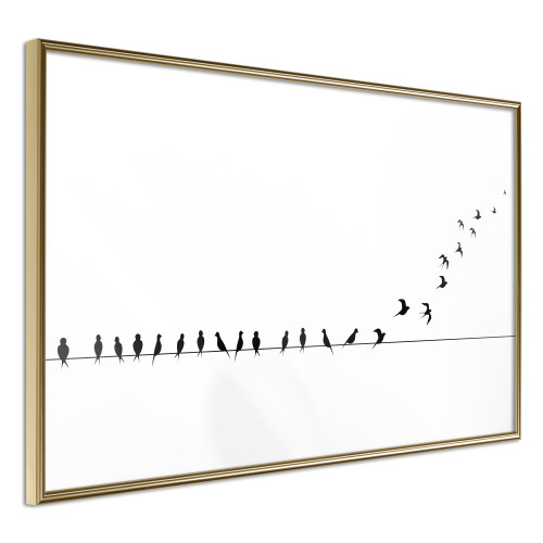 Poster Birds on a Wire