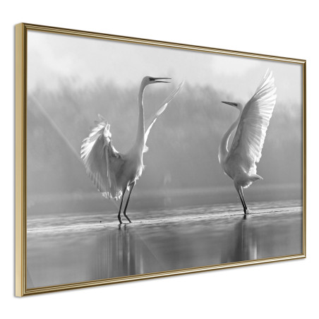 Poster Black and White Herons-01