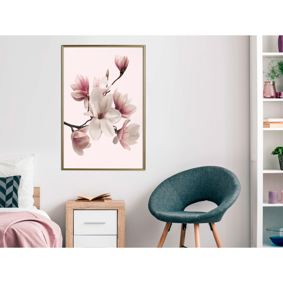 Poster Blooming Magnolias I