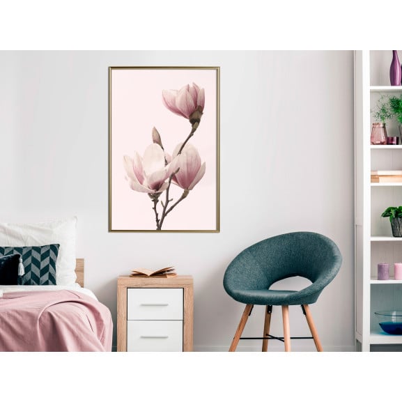 Poster Blooming Magnolias III