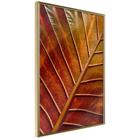 Poster Bronze Leaf-01