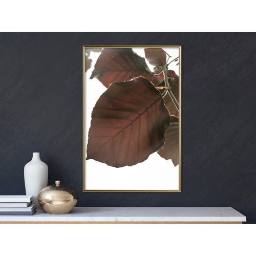 Poster Burgundy Tilia Leaf