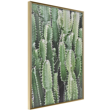 Poster Cactus Plantation-01