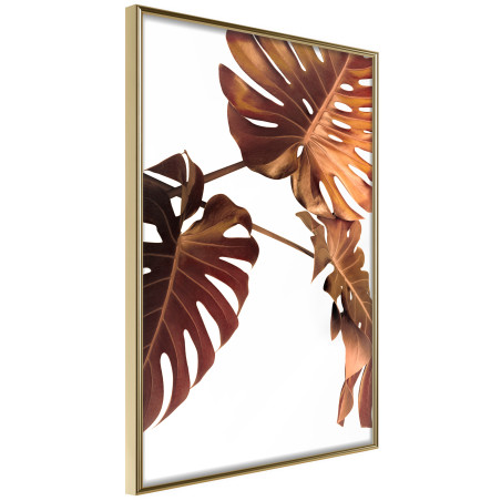 Poster Copper Monstera-01