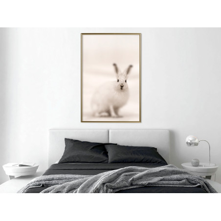 Poster Curious Rabbit-01
