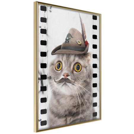 Poster Dressed Up Cat-01