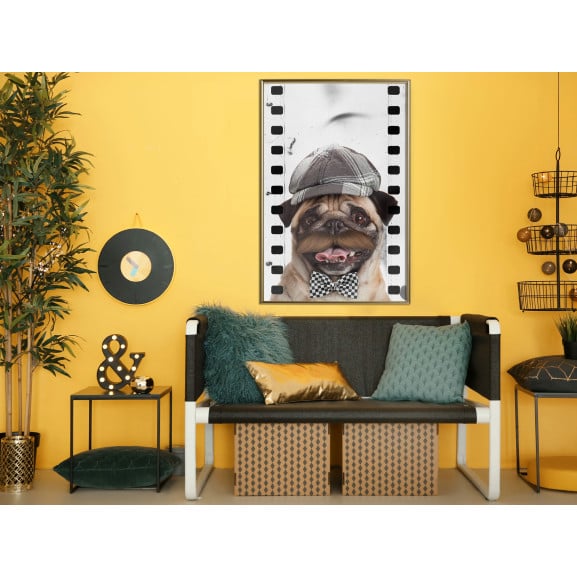 Poster Dressed Up Pug