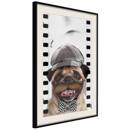 Poster Dressed Up Pug-01