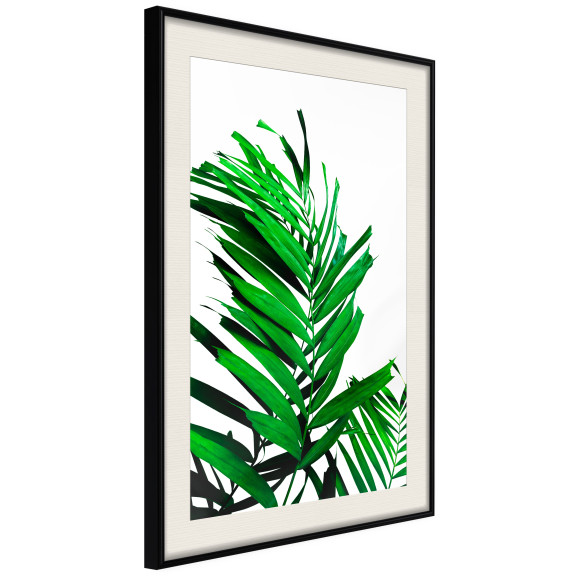 Poster Emerald Palm