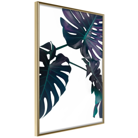 Poster Evergreen Monstera-01