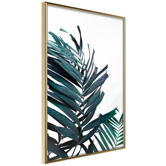 Poster Evergreen Palm Leaves