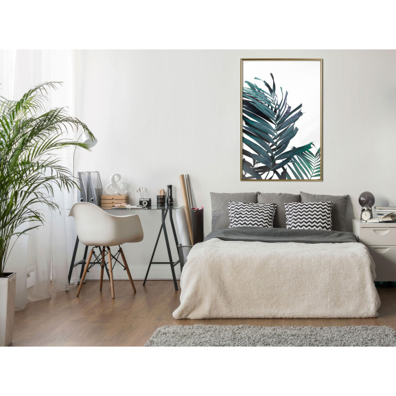 Poster Evergreen Palm Leaves