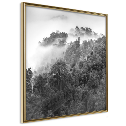 Poster Foggy Forest