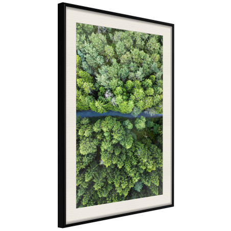 Poster Forest from a Bird's Eye View-01