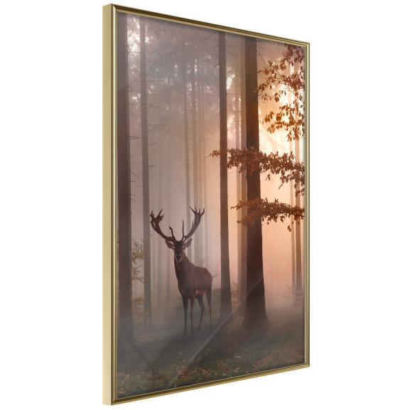 Poster Forest Seclusion