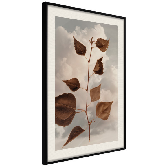 Poster Leaves in the Clouds