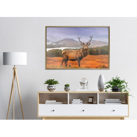 Poster Majestic Deer-01