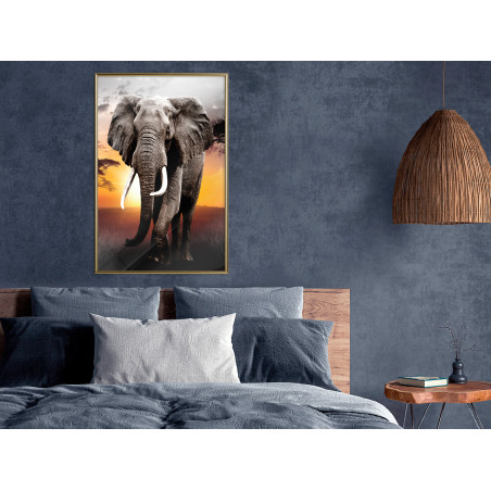 Poster Majestic Elephant-01