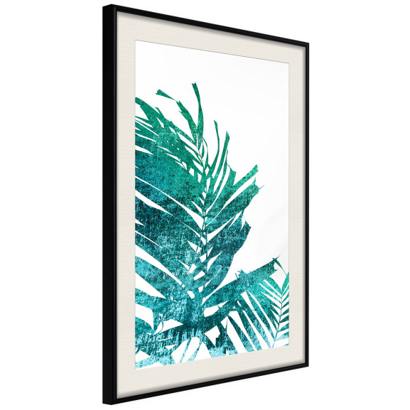 Poster Teal Palm on White Background