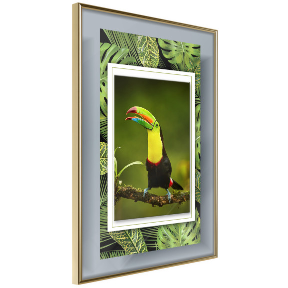 Poster Toucan in the Frame