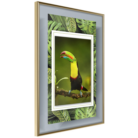 Poster Toucan in the Frame-01