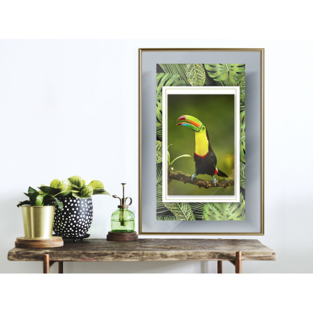 Poster Toucan in the Frame-01