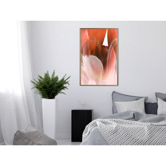 Poster Tulip Petals