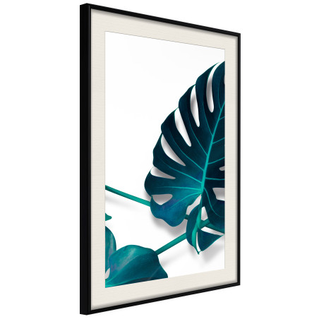 Poster Turquoise Monstera I-01