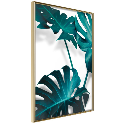 Poster Turquoise Monstera II