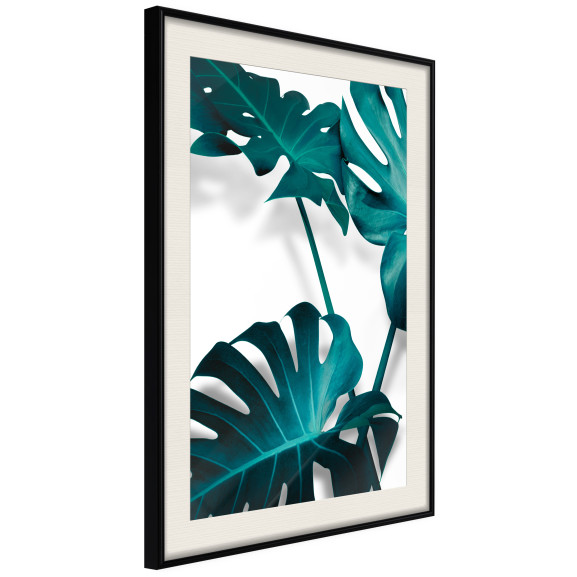 Poster Turquoise Monstera II