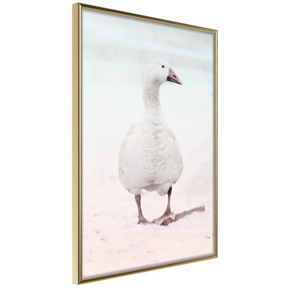 Poster Walking Goose