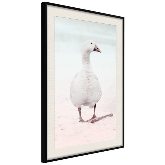 Poster Walking Goose