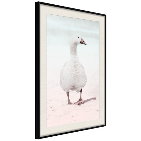 Poster Walking Goose-01