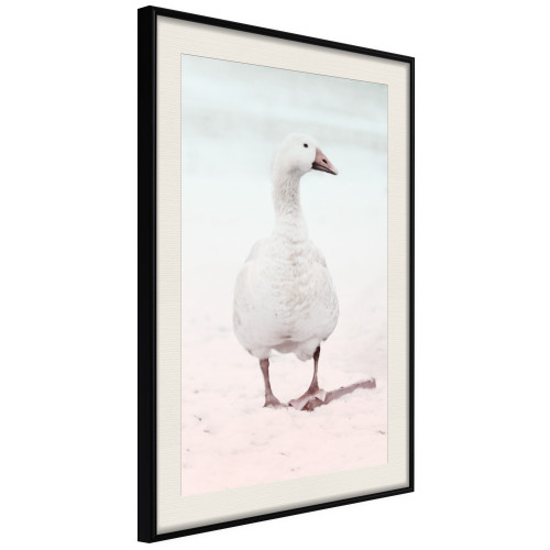 Poster Walking Goose