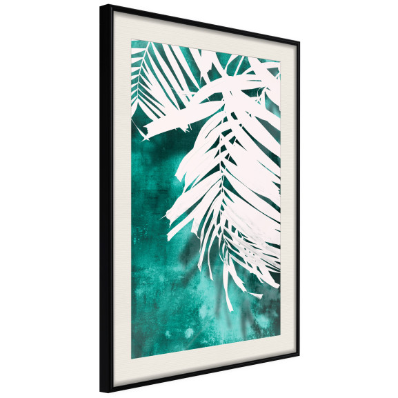 Poster White Palm on Teal Background